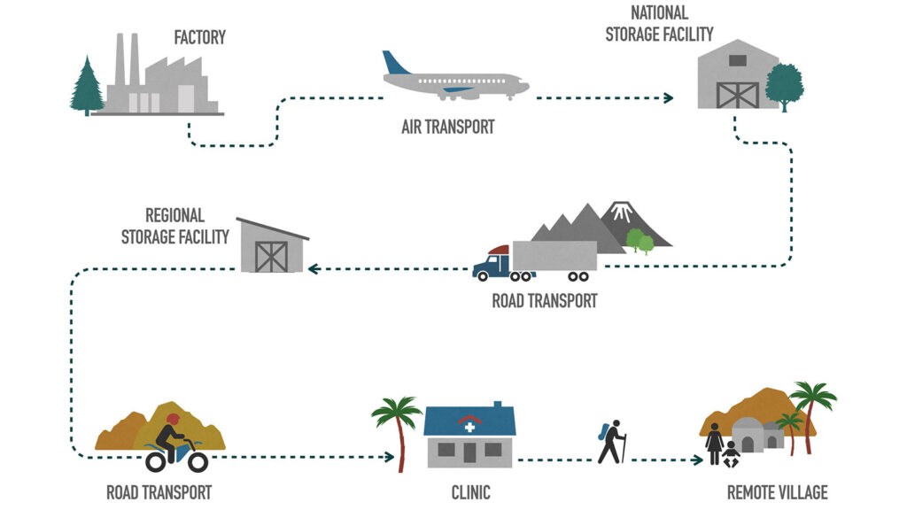 Chart explaining the cold chain transport